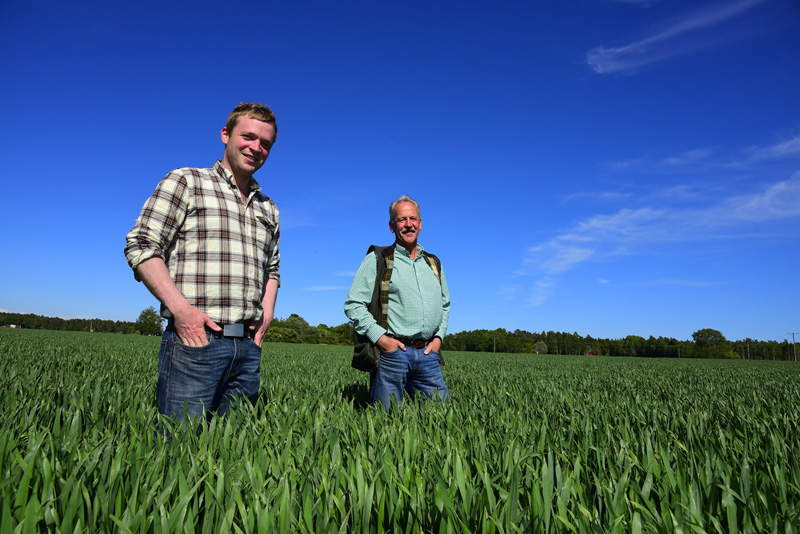 Gabriel and Sven Ringdahl